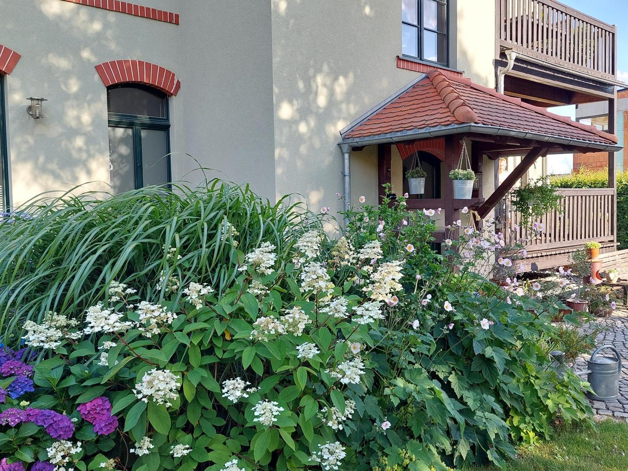Ferienwohnung Am Buergerteich 2 Bischofswerda Bagian luar foto